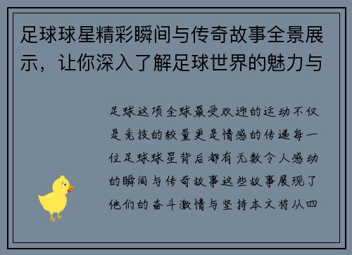 足球球星精彩瞬间与传奇故事全景展示，让你深入了解足球世界的魅力与激情