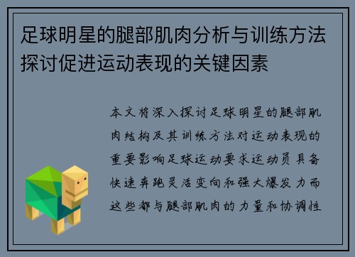 足球明星的腿部肌肉分析与训练方法探讨促进运动表现的关键因素