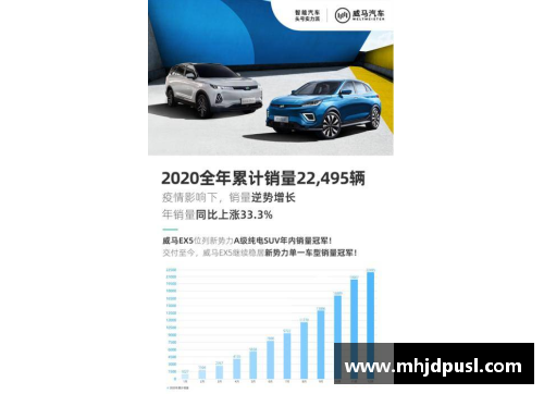 必一运动威马2020全年销量22,495辆四季度创历史新高EX5稳居造车新势力榜首 - 副本